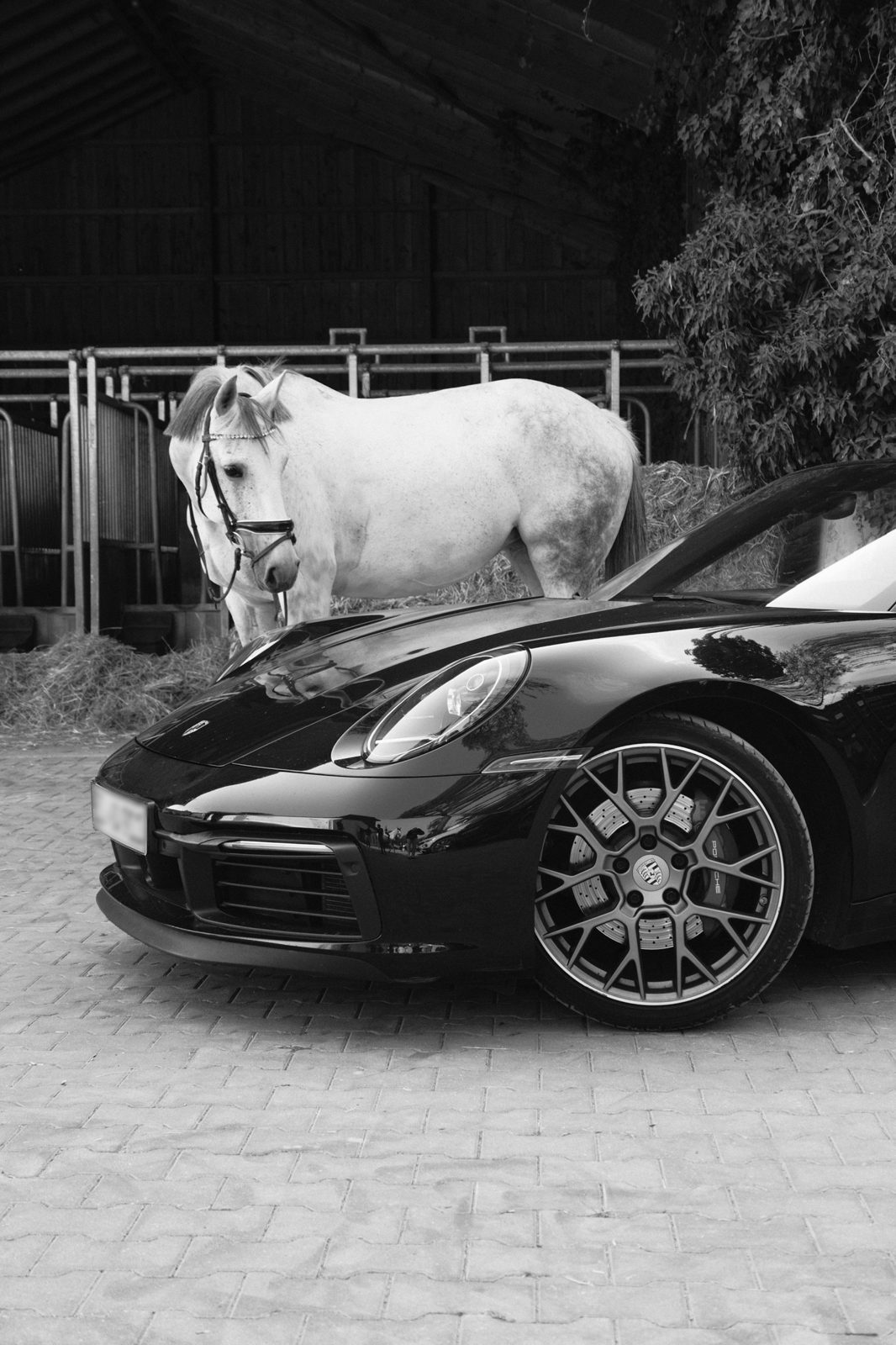 Black and white photo of a black sports car in front of a white horse at a stable